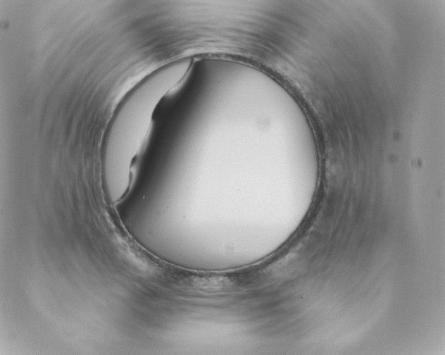 X0000088611129200706151820