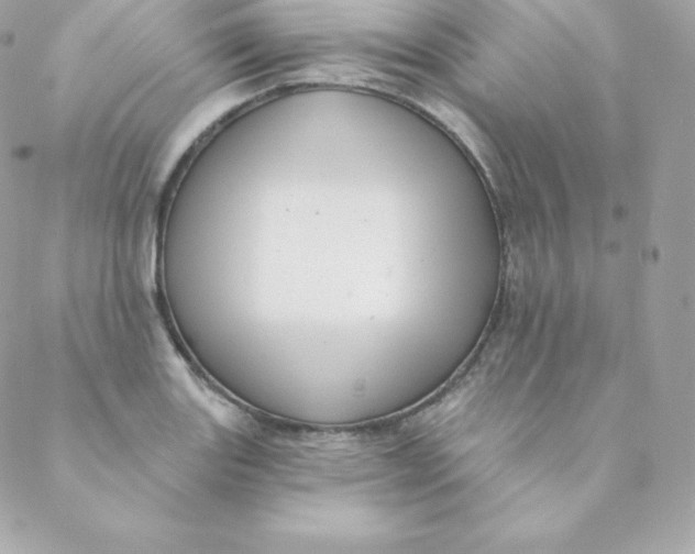 X0000088611131200706151820