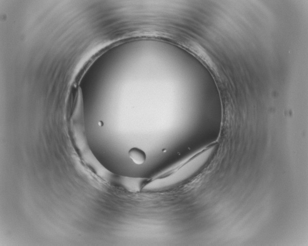 X0000088611132200706151820