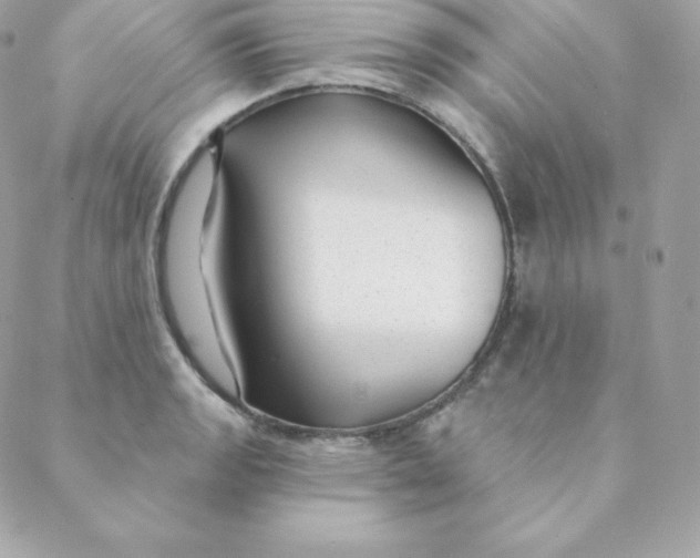 X0000088611133200706151820