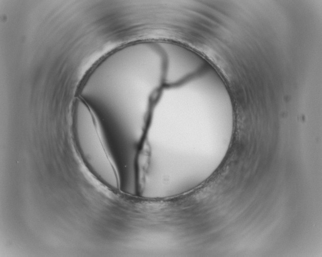 X0000088611134200706151820