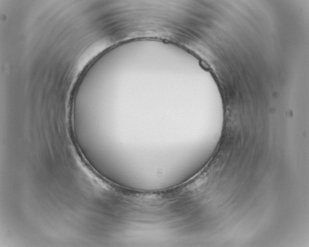 X0000088611135200706151820