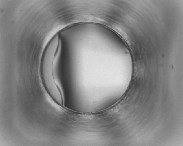 X0000088611136200706151820