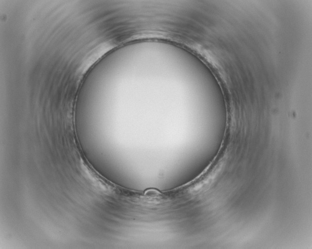 X0000088611137200706151820