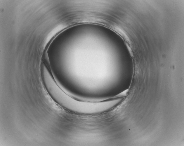 X0000088611138200706151820