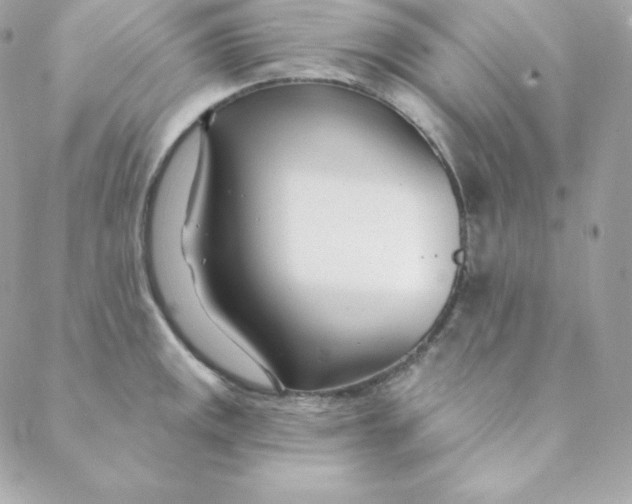 X0000088611141200706151820