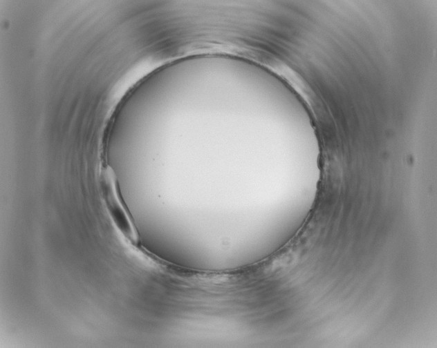 X0000088611143200706151820