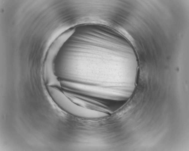 X0000088611144200706151820