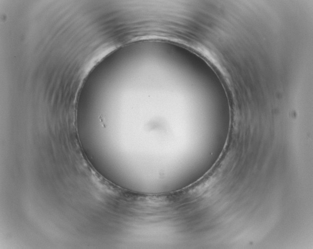 X0000088611145200706151820