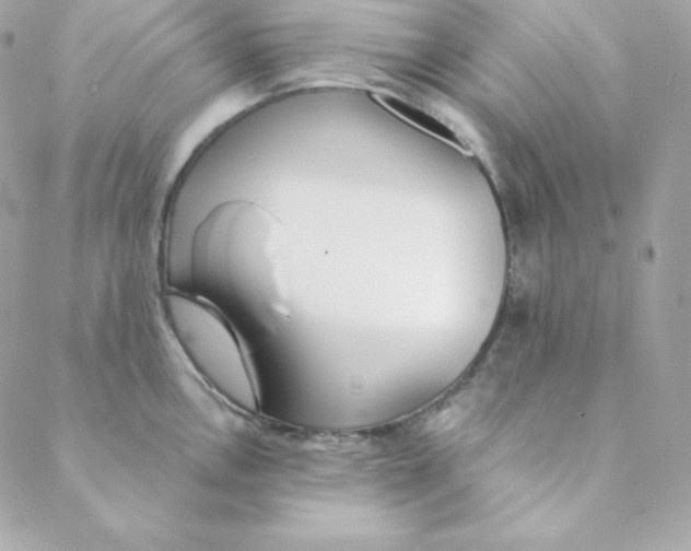 X0000088611146200706151820