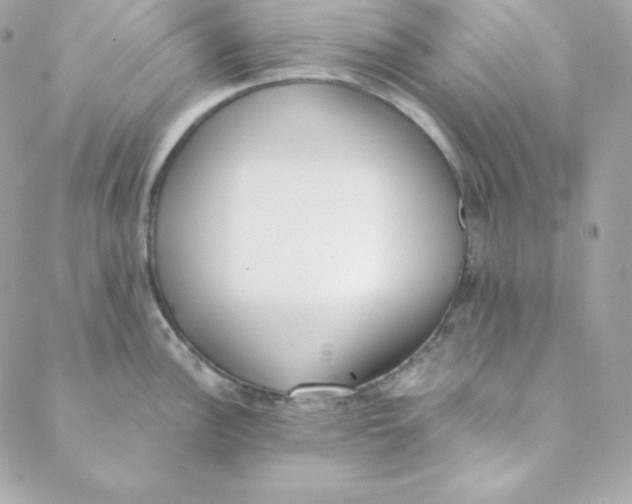 X0000088611148200706151820