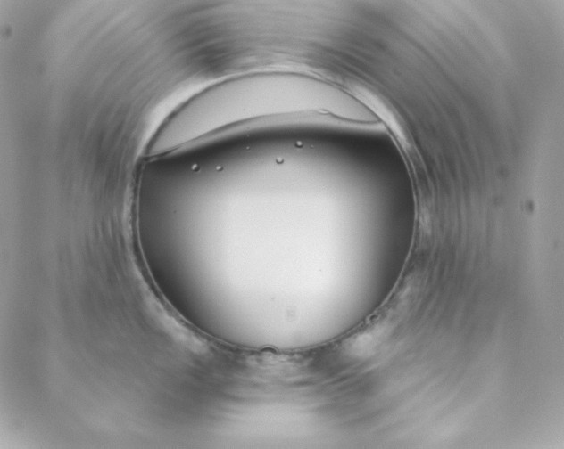 X0000088611149200706151820