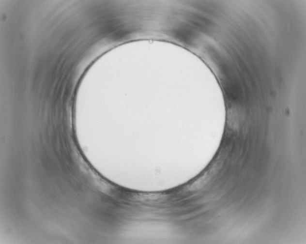 X0000088611150200706151820