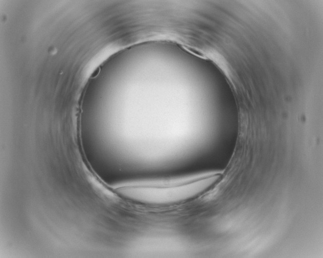 X0000088611151200706151820