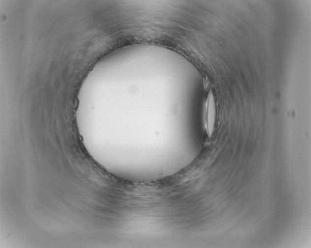 X0000088611153200706151820