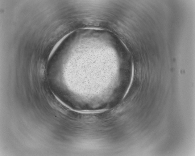 X0000088611154200706151820