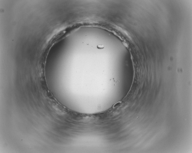 X0000088611160200706151819