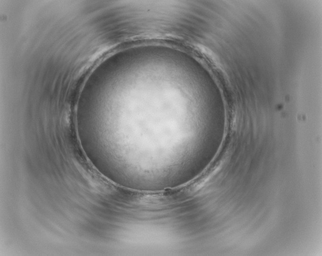 X0000088611161200706151819