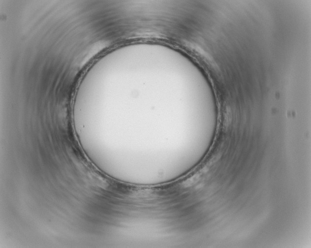 X0000088611162200706151819