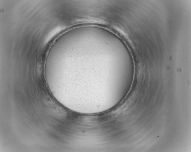 X0000088611163200706151819