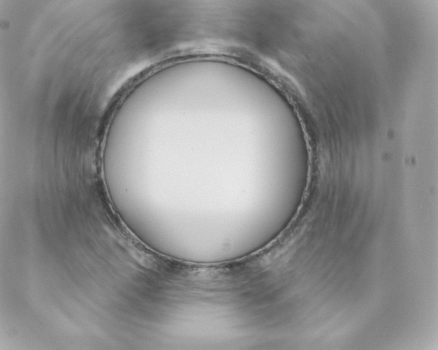 X0000088611166200706151819