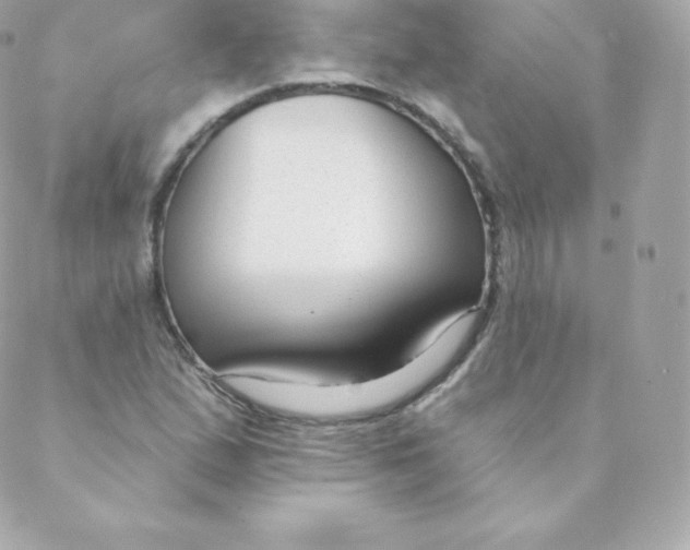 X0000088611167200706151819