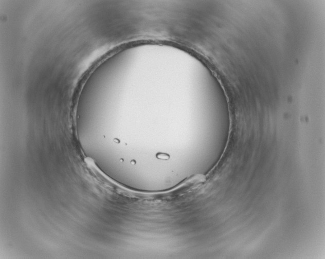 X0000088611168200706151819