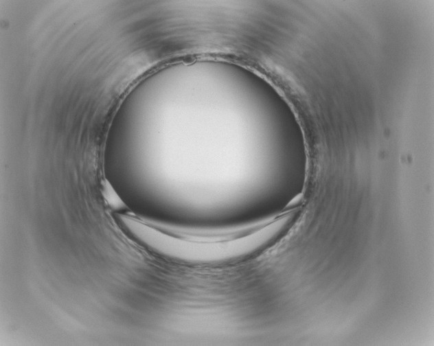 X0000088611169200706151819