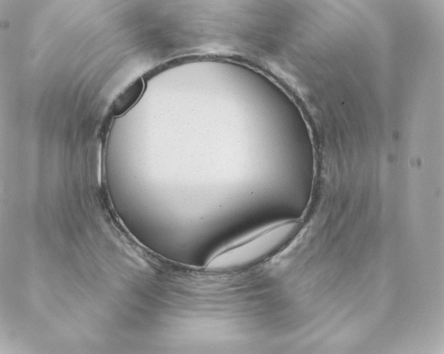 X0000088611171200706151819