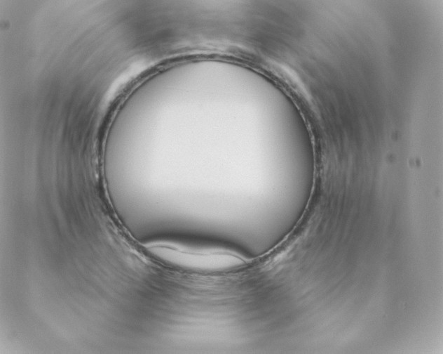 X0000088611172200706151819