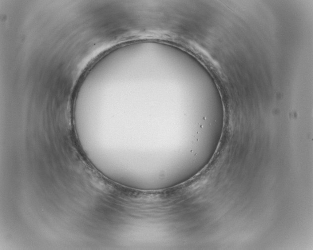 X0000088611174200706151819