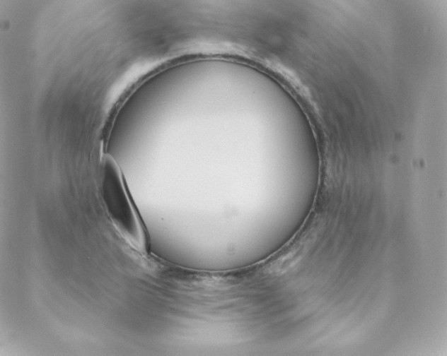 X0000088611175200706151819