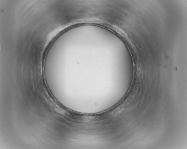 X0000088611176200706151819