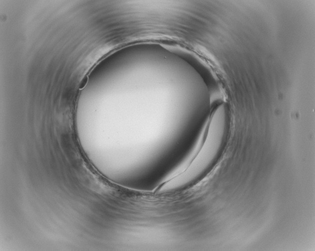 X0000088611177200706151819