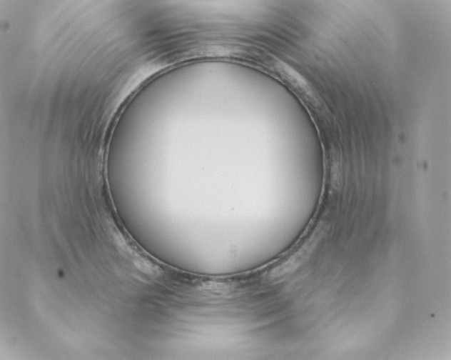 X0000088611178200706151819