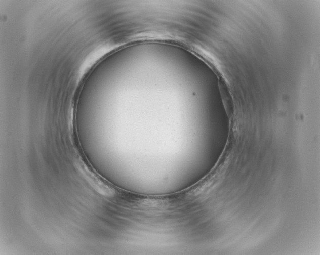 X0000088611179200706151819