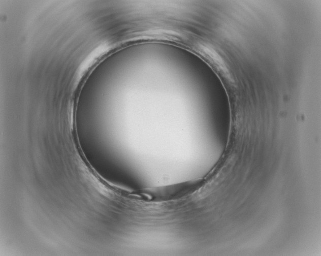 X0000088611180200706151819