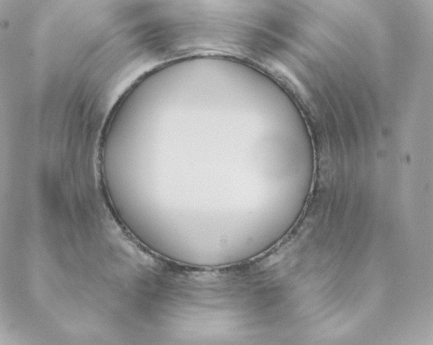 X0000088611182200706151819