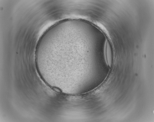 X0000088611183200706151819