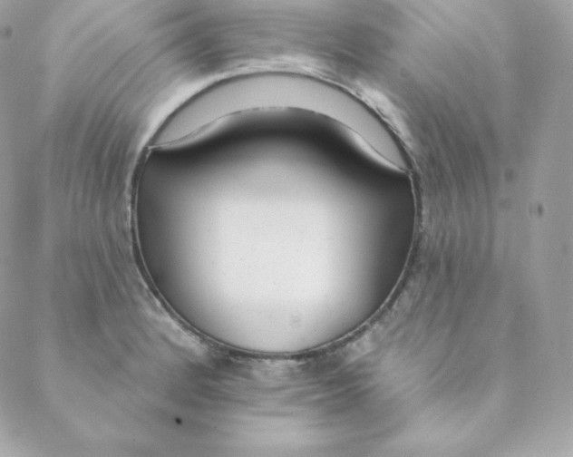 X0000088611184200706151819