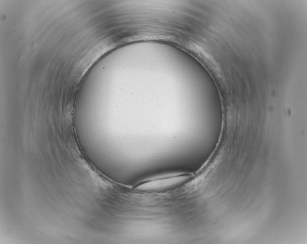 X0000088611185200706151819