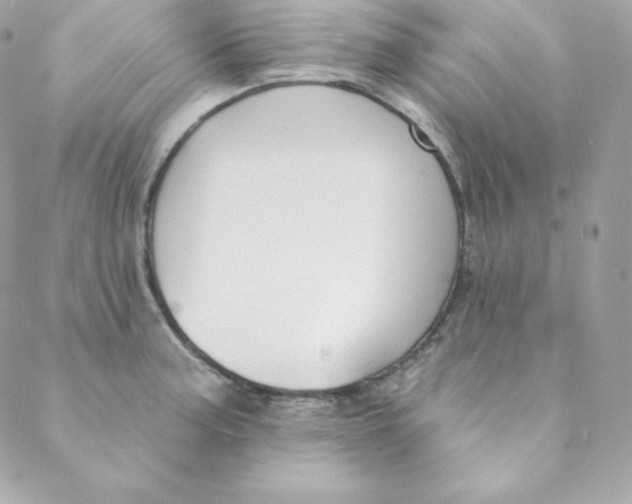 X0000088611187200706151819