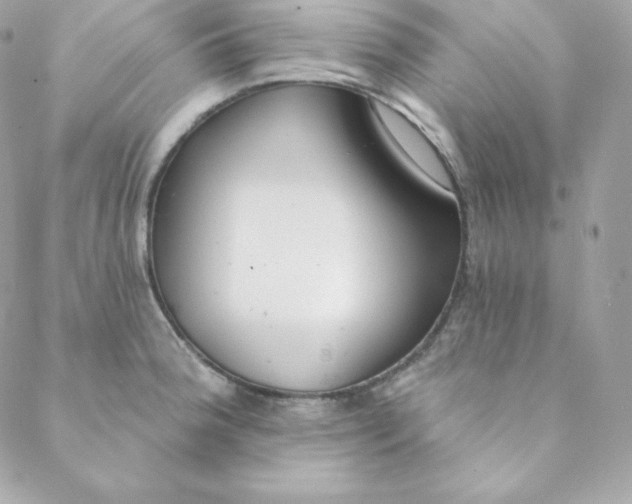 X0000088611188200706151819