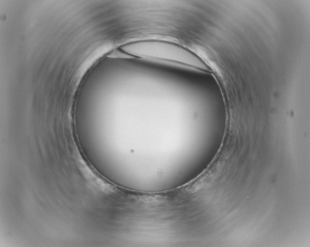 X0000088611189200706151819