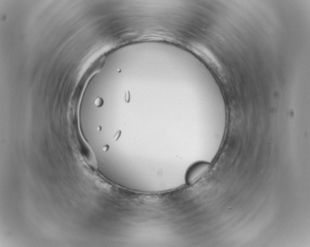 X0000088611190200706151819