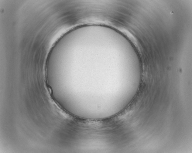 X0000088611191200706151819