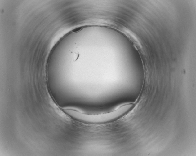 X0000088611192200706151819