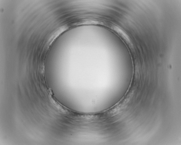 X0000088611193200706151819