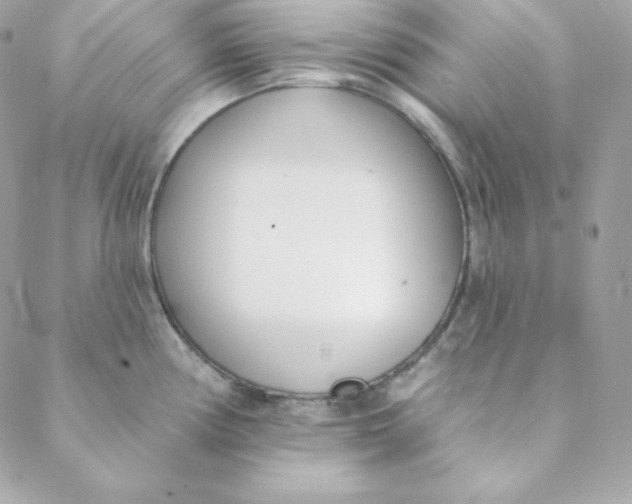 X0000088611194200706151819