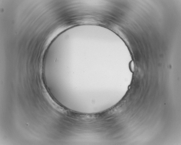 X0000088611195200706151819